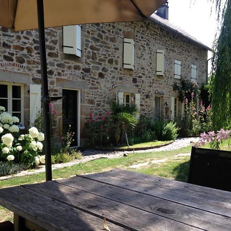 B&B Maison Coralie Sainte-Christine  Exteriör bild